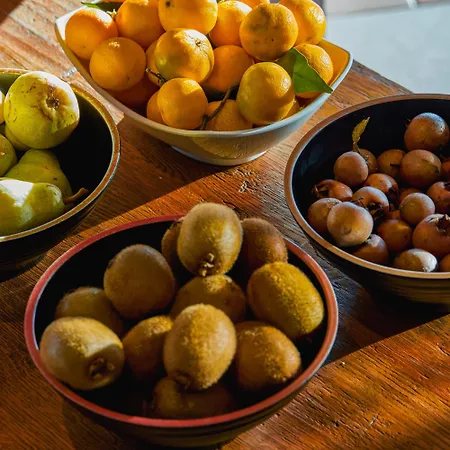 Szálloda Garden Relais